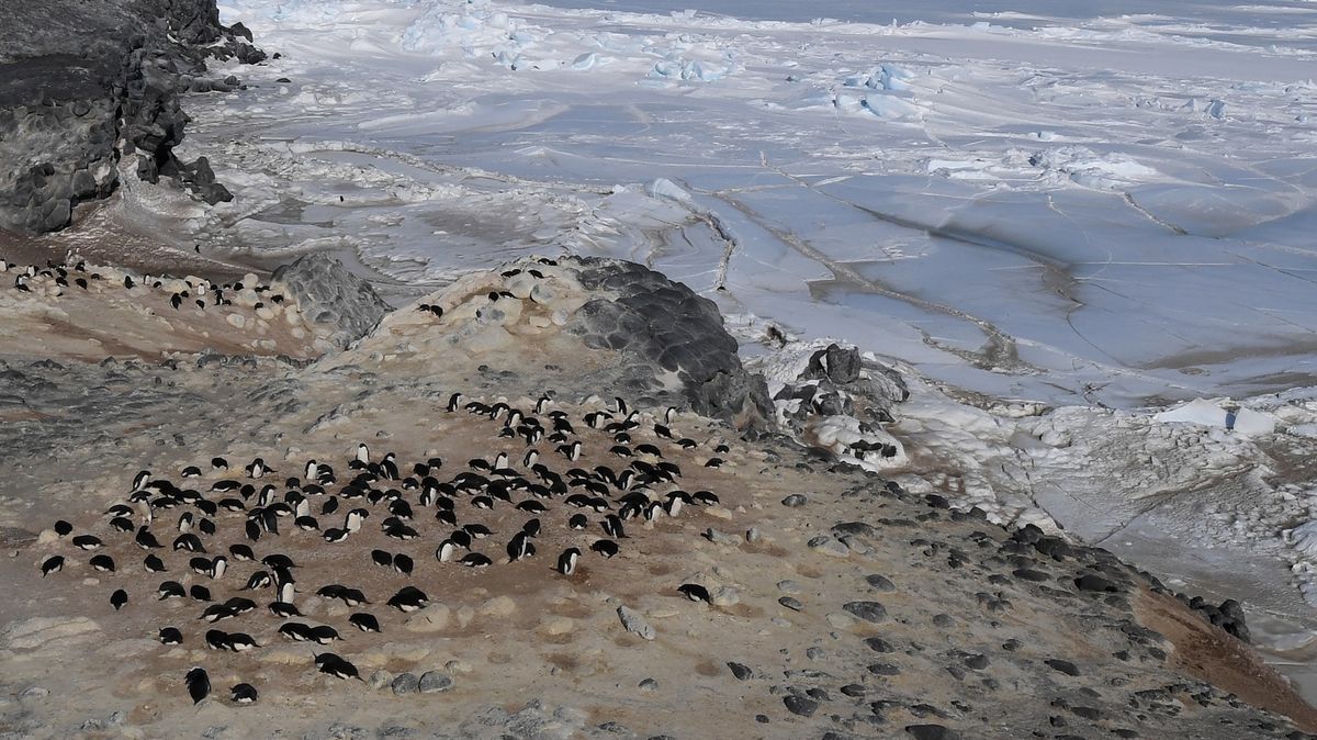 Fotky: Dobývání země věčného ledu a zimy. Nejprve přišli lovci velryb, pak vědci. A turisté